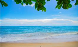 梦见自己和别人在水里