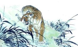 属虎2020年运势及运程 属虎人2020年全年每月运势