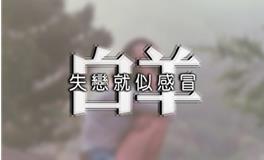 白羊座结婚多久会后悔