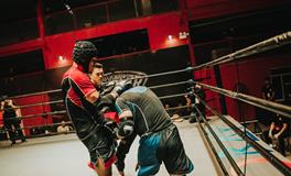 梦到打架打赢了