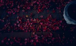 梦见自己和朋友打架