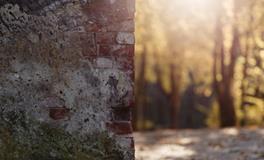 梦见屎沾身是什么意思