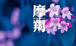 摩羯座的激情和爱情怎么辨别