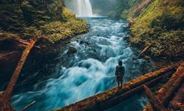 生肖狗2018年9月桃花运如何