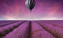 裴恩2018年9月白羊座运势