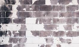 女人梦见用手抓大便