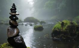 梦见吃别人的大便