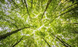 梦见自己身上有大便