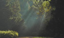 梦见自己拉屎擦不净