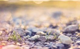 YAO叔天秤座一周运势（9.3-9.9）