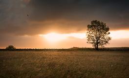 属虎的2018年9月如何提升财运