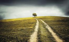 做梦梦到地震楼房倒塌