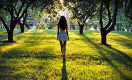 属虎人的桃花姻缘