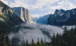 属虎人的事业发展