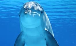 女人梦到自己抓鱼