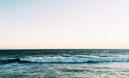 梦见抓了一条鱼