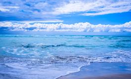 梦见抓到红鲤鱼