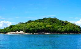 梦见捕到很多鱼