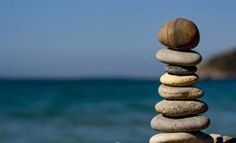 梦到鱼塘里好多鱼