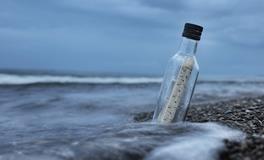 梦见乌龟预示着什么