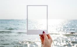 做梦梦到乌龟特别大