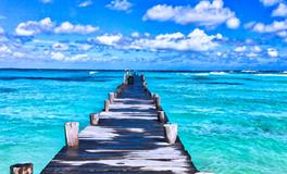 梦见乌龟和蛇是什么意思