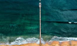 梦到乌龟吃乌龟