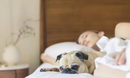 孕妇梦到黑鱼是什么意思