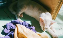 孕妇梦到自己破水了