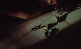 孕妇做梦梦到老鳖