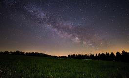 晚上做梦梦到怀孕了