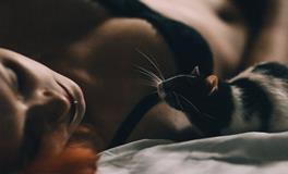 做梦梦到怀孕6个月了