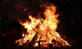 孕妇做梦梦到打狗