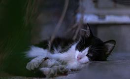 孕妇做梦梦到自己大哭