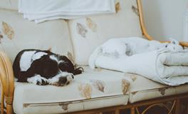 梦见和妈妈吵架