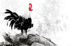 2005年属鸡的人2020年运势大全及破解