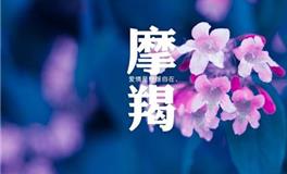 摩羯座不再爱你的表现