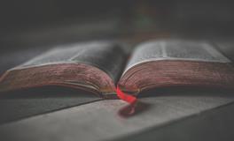 孕妇做梦梦到摘茄子