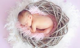 女性梦到被螃蟹夹手