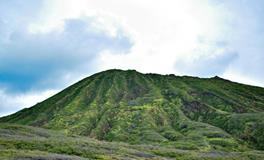 梦见马追我是什么意思