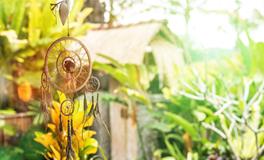 梦见面条预示着什么