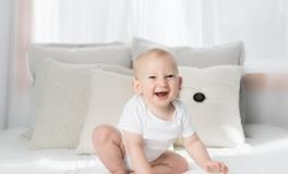 梦见昆虫是什么意思