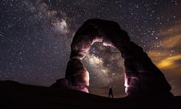 梦见好多小虫子