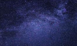 梦见浑身都是虫子