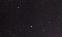 梦到被虫子咬是什么意思