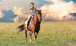 农历四月出生属猪人命好吗