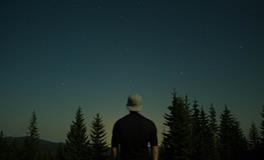 梦见蜈蚣预示着什么