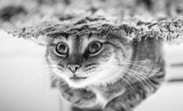 梦见迷路找不到目的地