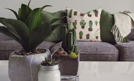 梦到火龙是什么意思