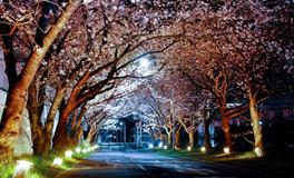 梦到钱包失而复得